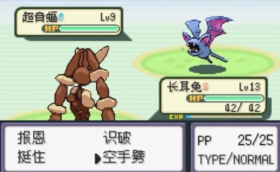 口袋妖怪火箭队汉化版(2)