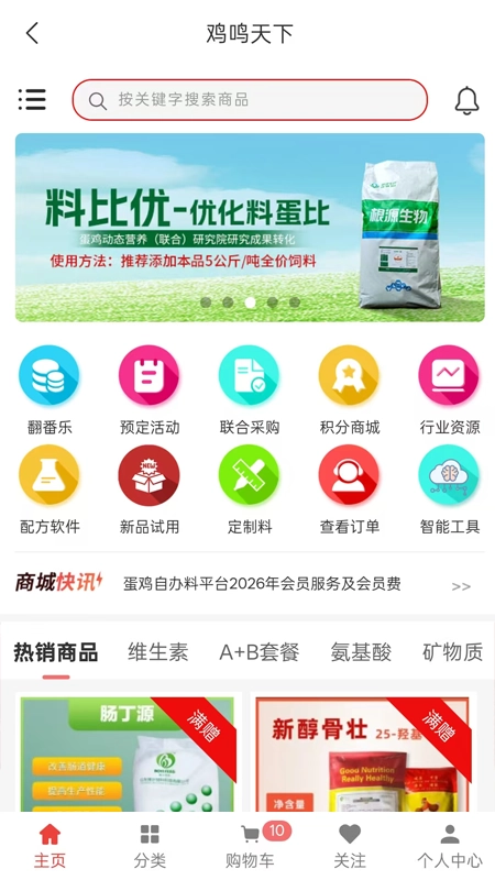 鸡鸣天下图3