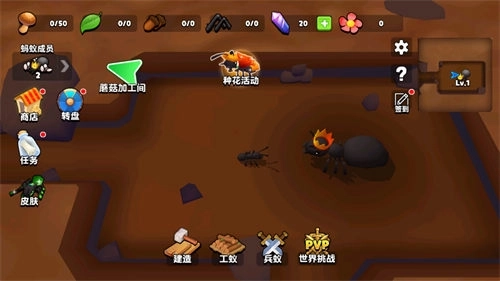 蚂蚁进化3D最新版