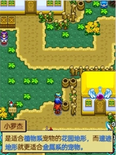 宠物王国4白金游戏