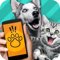 pet translator软件V1.1