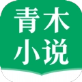 青木小说