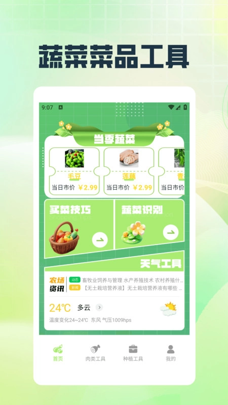 村头菜市场图3