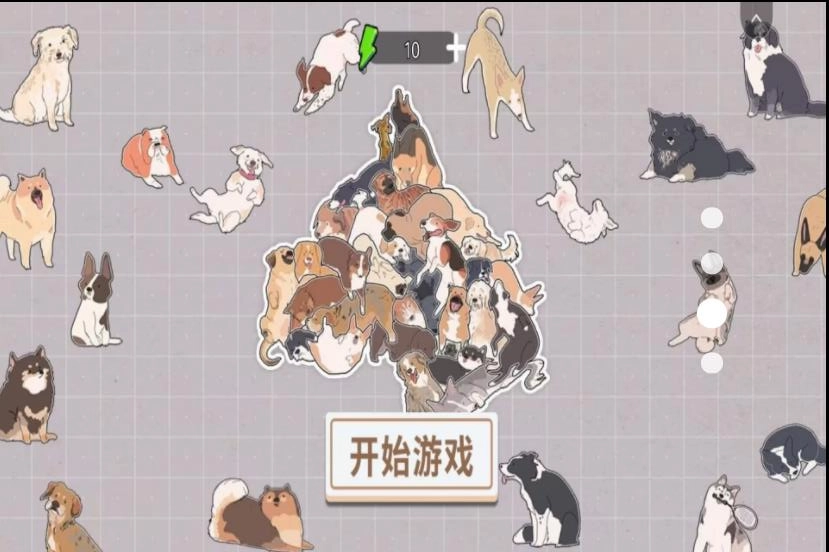 拼拼图(4)