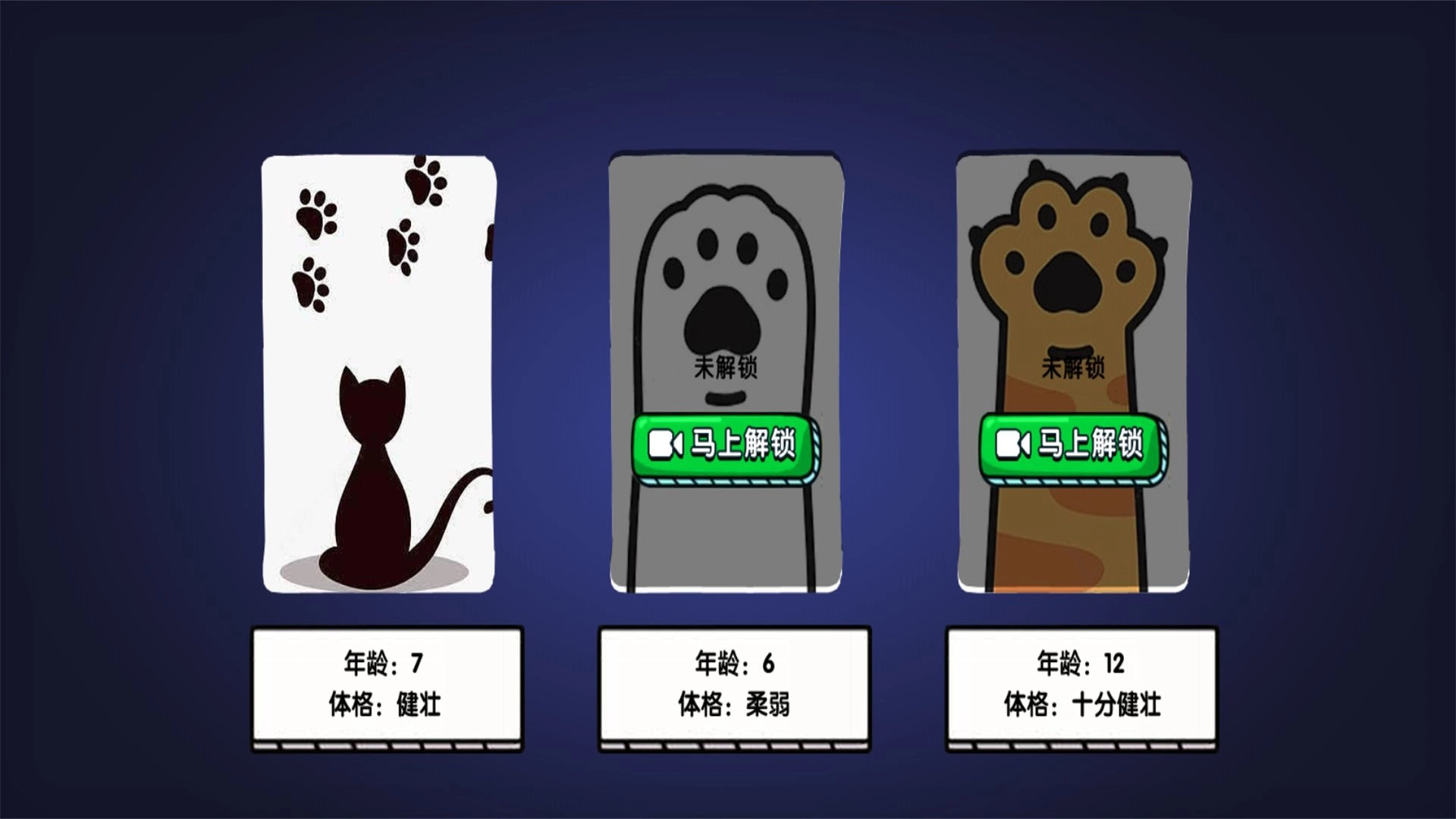 猫咪城市探索行(3)