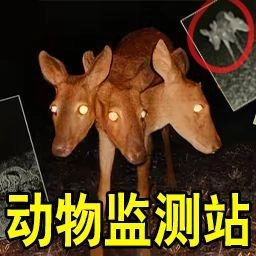 恐怖动物园探险 v1.0