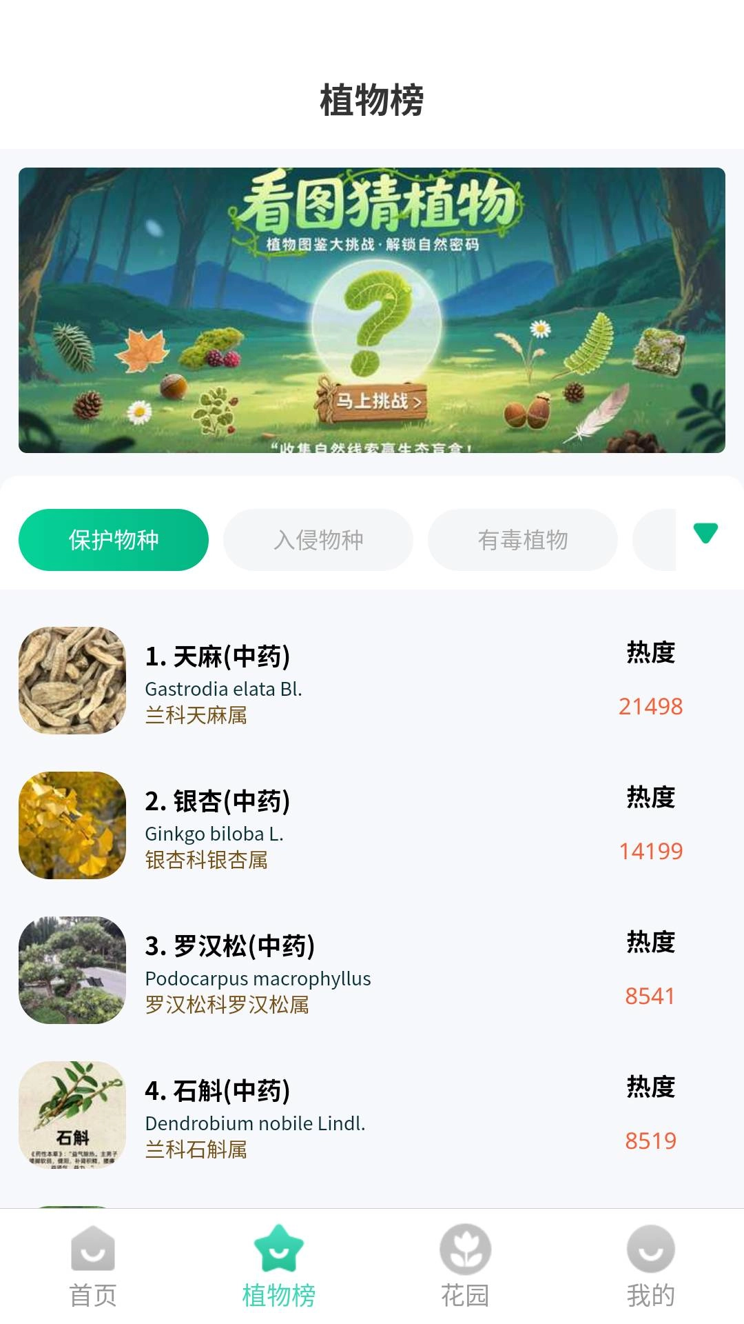 本草植物识别(1)