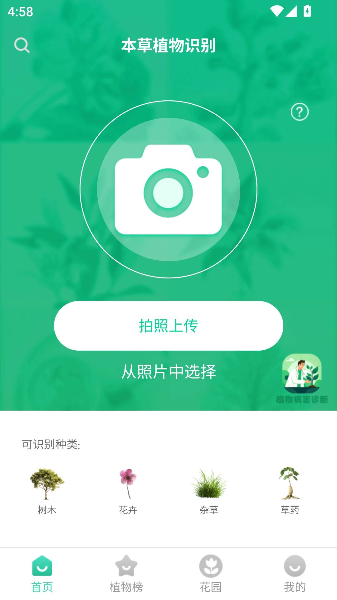 本草植物识别(3)