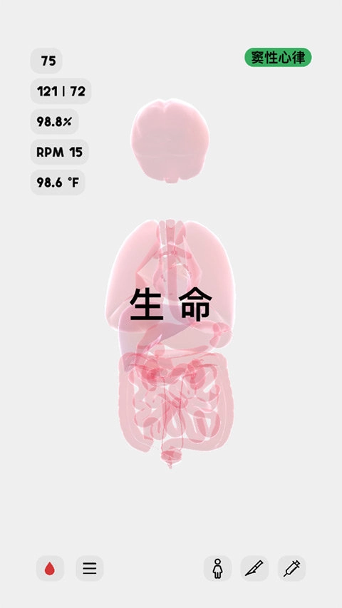 生命人体模拟器(3)