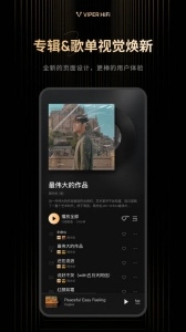 viper hifi手机版图2