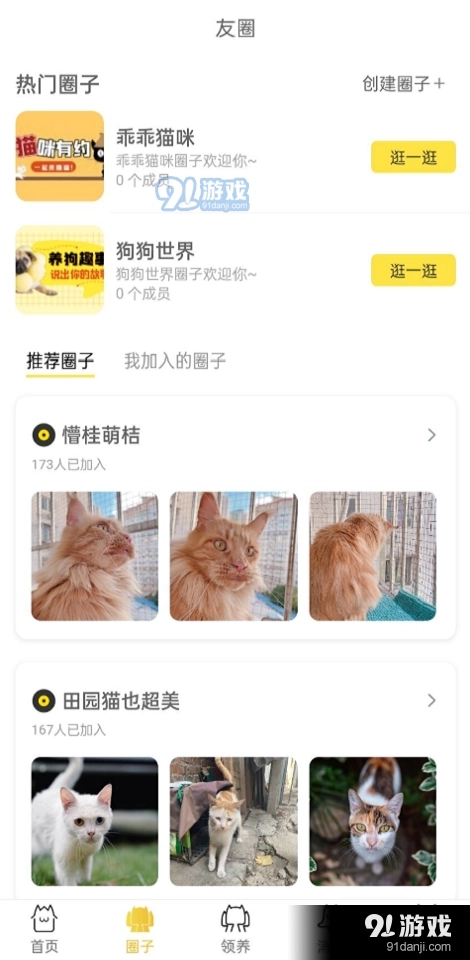 种猫家图2