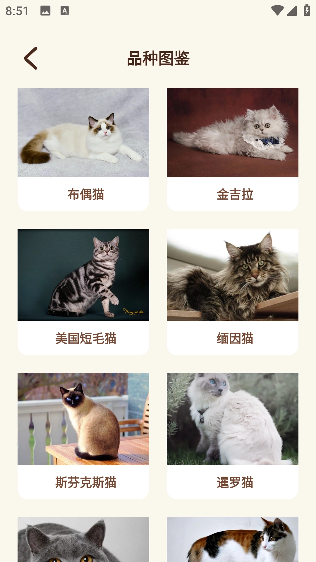 Peppycat猫语翻译器软件