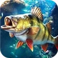 欢乐钓鱼大师单机版