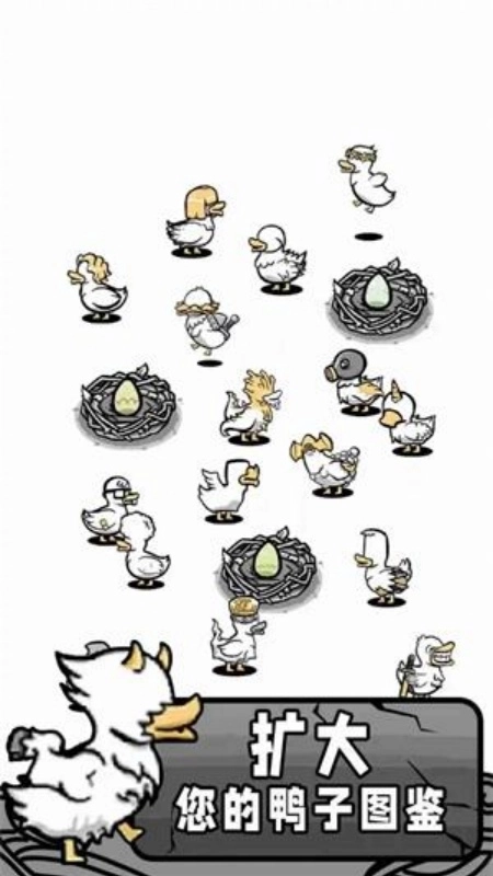 奇怪鸭子世界(2)