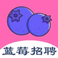 蓝莓招聘 V1.3.4