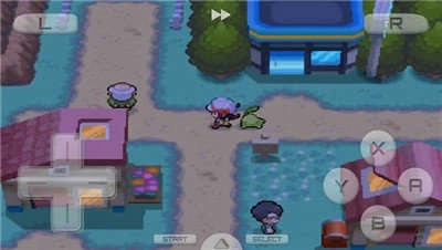 口袋妖怪心金汉化版图3