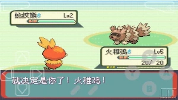 口袋妖怪绿宝石精装版图2