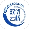 双优云桥