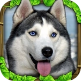 终极流浪狗模拟器2