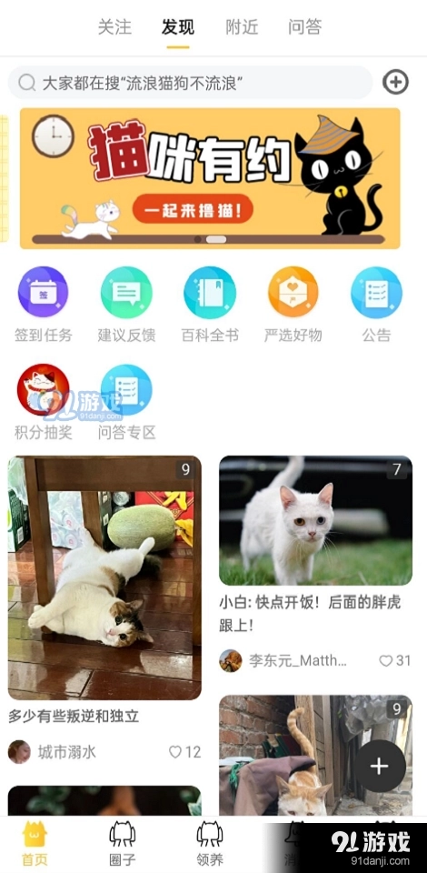 种猫家图3