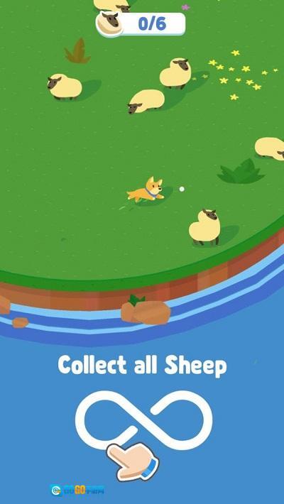 牧羊犬小绵羊图2