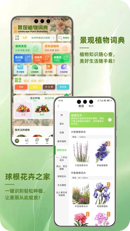 踏遍景观植物词典