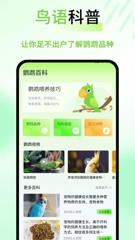 鹦鹉语言翻译器图1