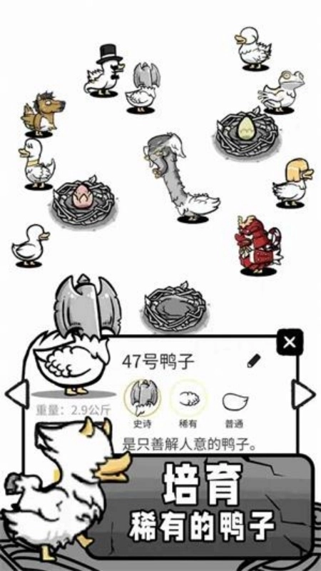 奇怪鸭子世界(1)