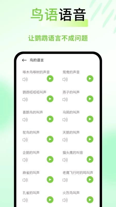 鹦鹉语言翻译器图2