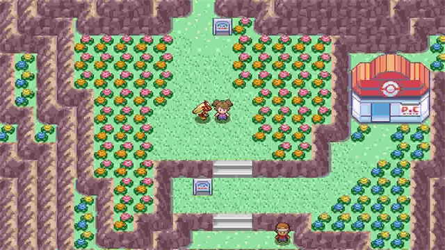 PokeMMO联机版(4)