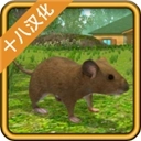 老鼠模拟器无广告