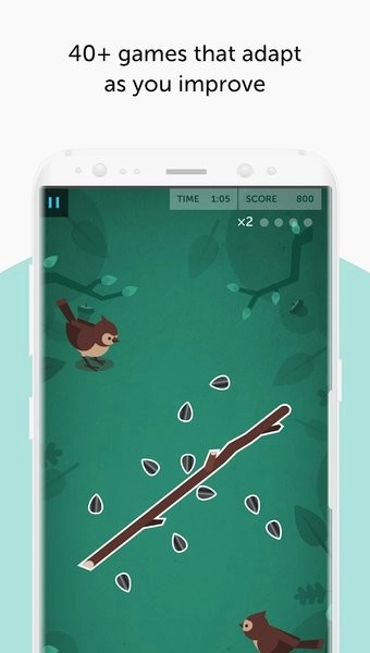 Lumosity 图2