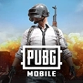 pubg地铁逃生日韩正版