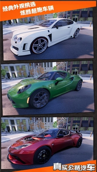 真实公路汽车(2)