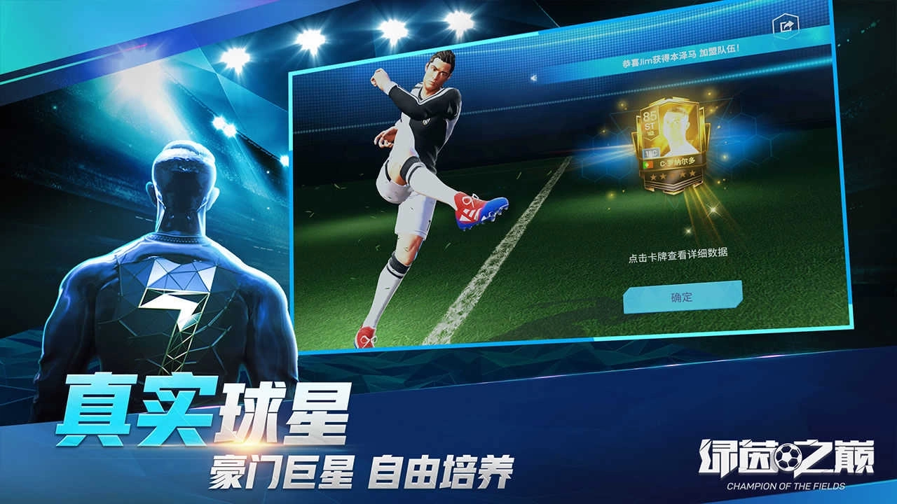 绿茵之巅网易版(1)