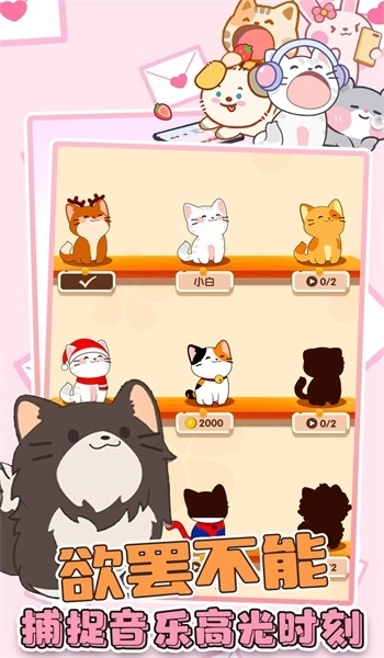 猫咪音乐双重奏图4