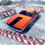 完美开车驾驶(Real Sports 3d Car Parking Perfe)