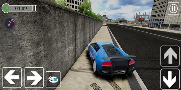 专业竞速车手(3)