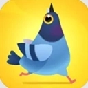 疯狂的鸽子游戏