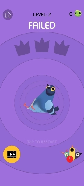 疯狂的鸽子游戏(1)