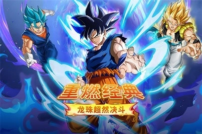 蜂派龙珠正版(2)