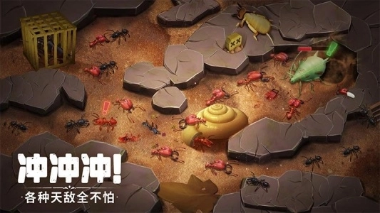 蚁族崛起最新版(3)
