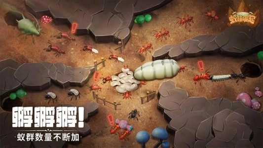 蚁族崛起最新版(1)