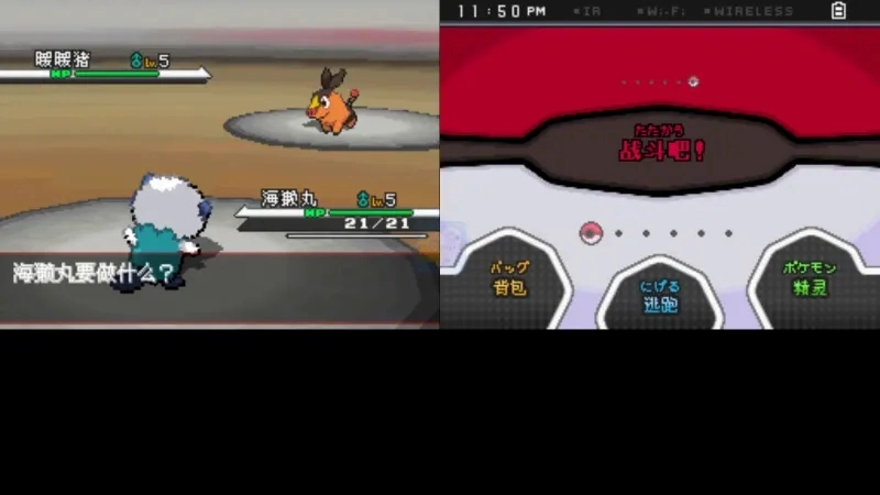 口袋妖怪 绝对黑