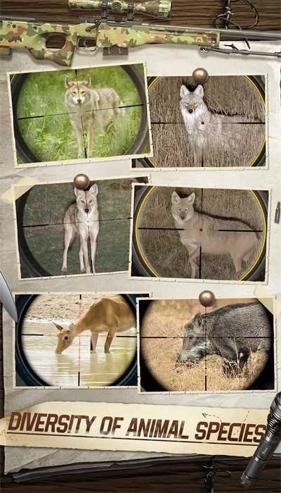 狩猎狙击手3D图4