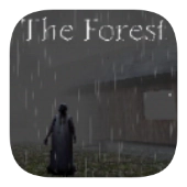 兰德里纳河的森林雨天