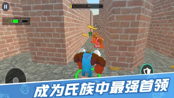 原始人进化史(3)