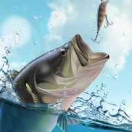 垂钓大师最新版 v1