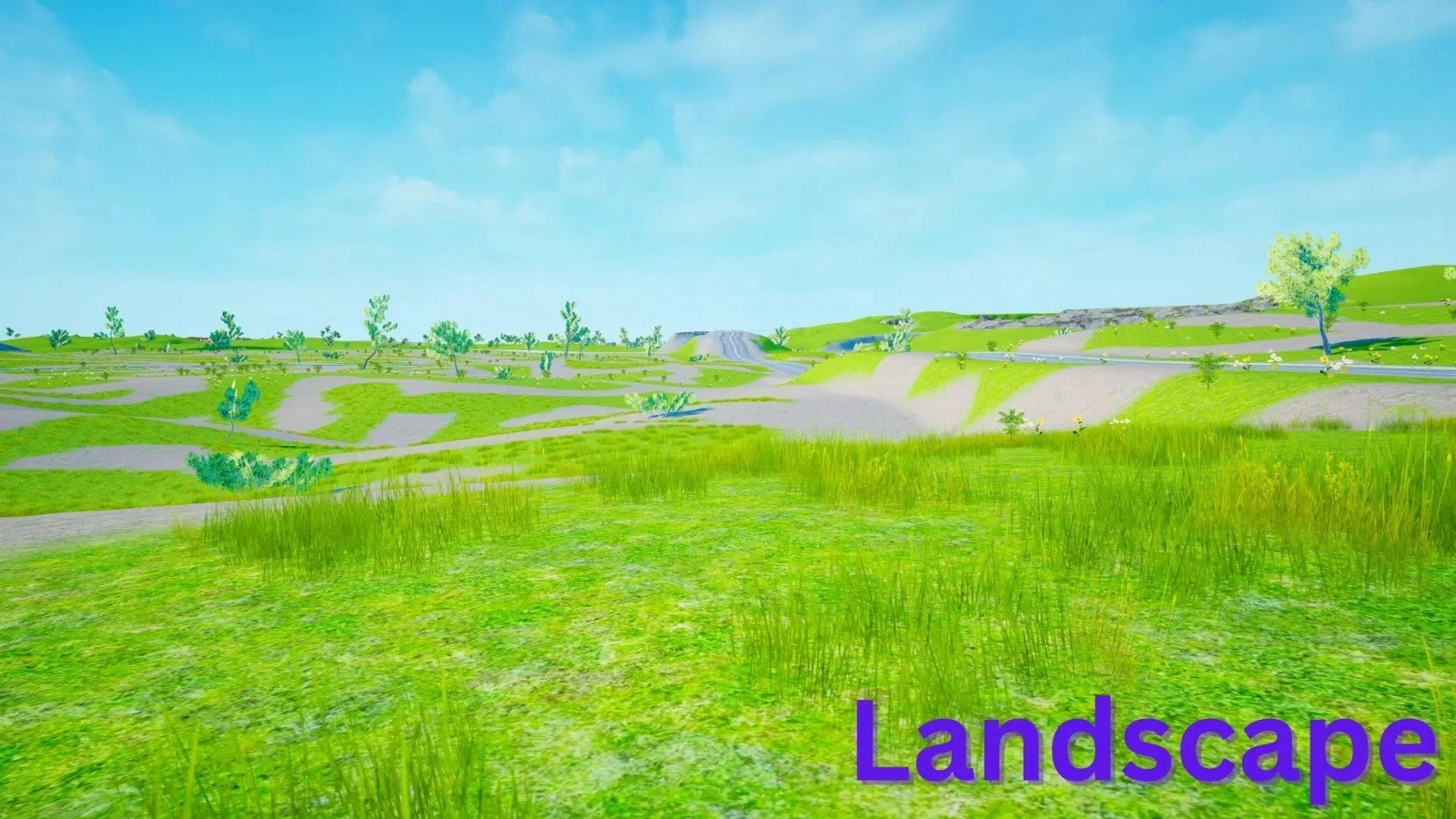 印度汽车3D驾驶