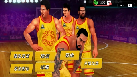 篮球终极高手